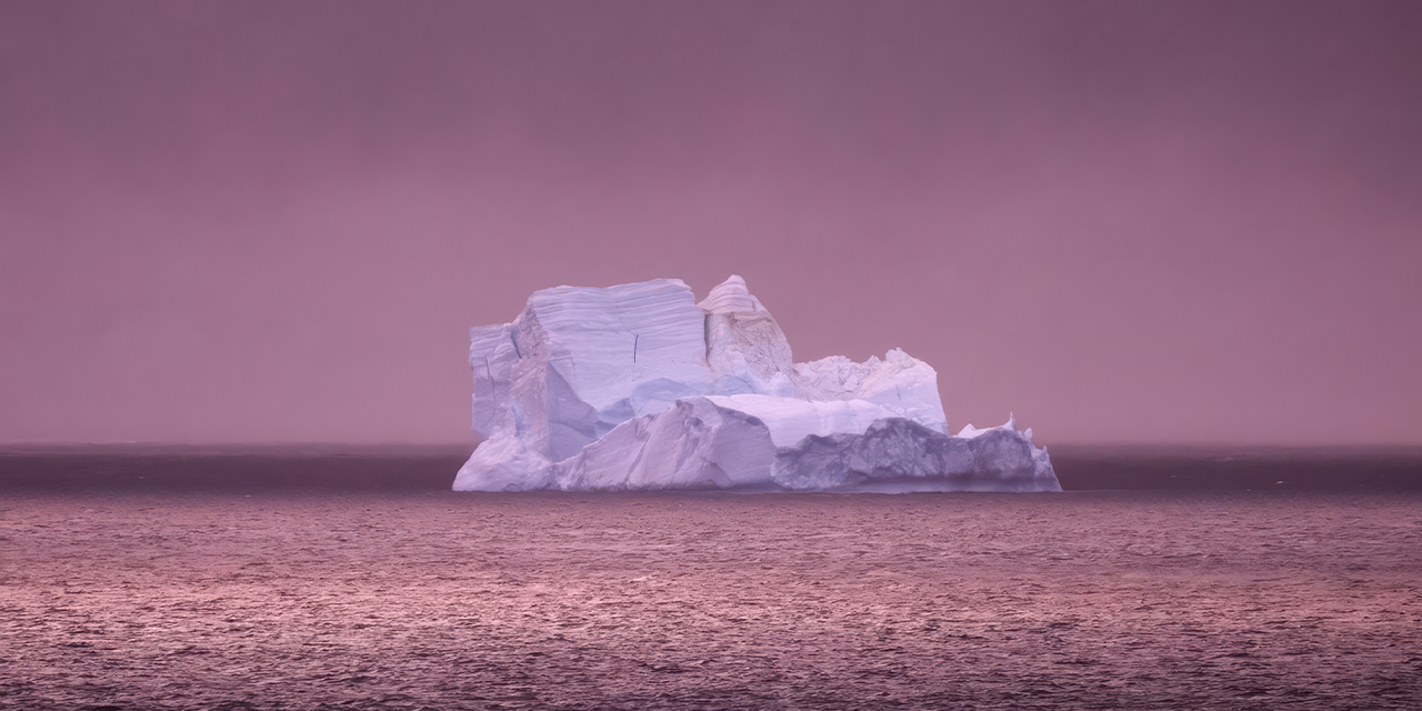 Paola Marzotto: La belleza que se derrite